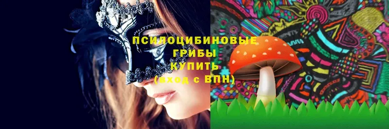 Псилоцибиновые грибы Magic Shrooms  Борисоглебск 